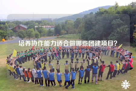培养协作能力适合做哪些团建项目？