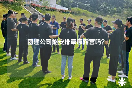 团建公司能安排草原露营吗？