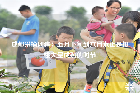 成都采摘团建：五月下旬到六月末正是樱桃大量成熟的时节