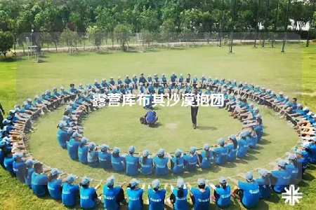 露营库布其沙漠抱团