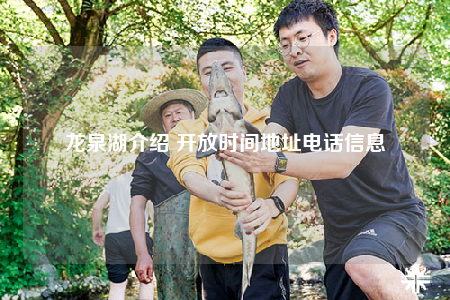 龙泉湖介绍 开放时间地址电话信息